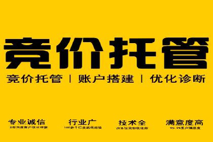 行业领先企业的SEM代运营成功之路